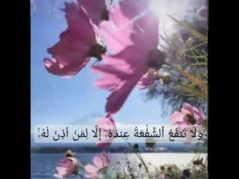 ولا تنفع الشفاعة إلا لمن أذن له القارئ اسلام صبحي