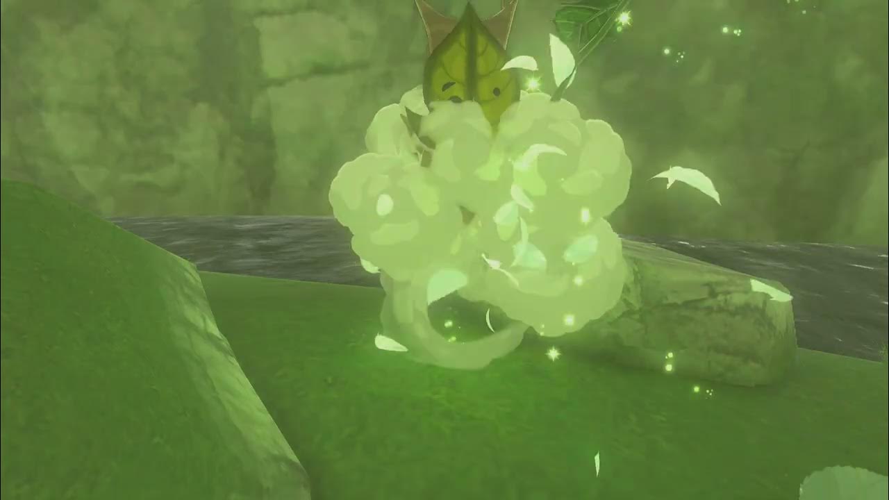 Korok Seed 259, Spring of Power The Legend of Zelda Tears of the Kingdom YouTube