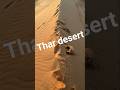thar desert 🏜️ kaha aa gaya mein 😱 #desert #vlogs #trendingshorts