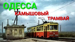 Камышовый трамвай. Одесса сегодня. Тревожная ситуация/ Хаджибей. Купальни на лимане. Память #зоотроп