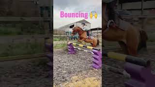 Grid work and bouncing for Candy and Oakley today - #showjumping #ponies #chestnutmare #welshpony