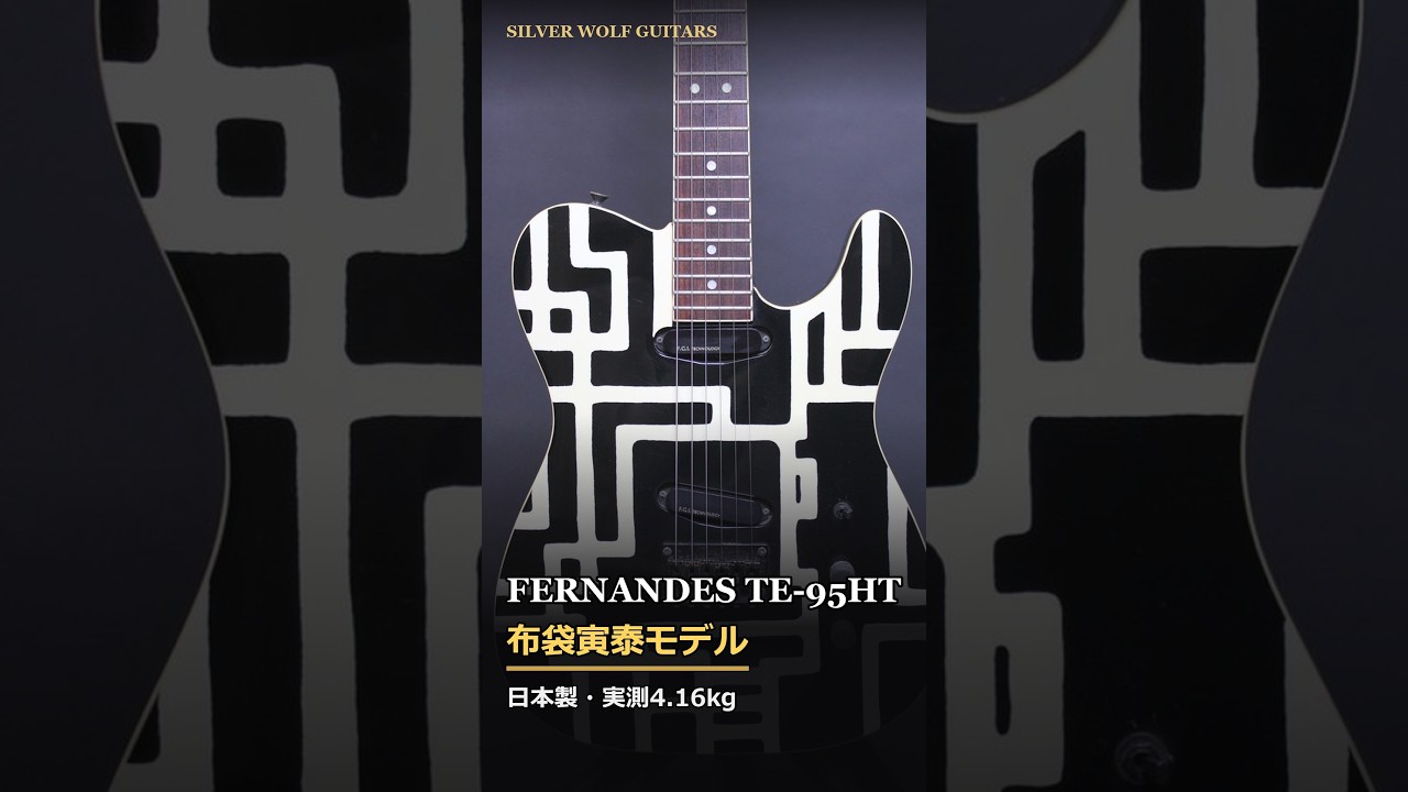 FERNANDES TE-95HT 布袋寅泰 シグネチャーモデル（ブラック×ホワイト