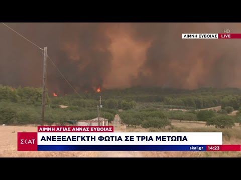 Λίμνη Ευβοίας: Ανεξέλεγκτη φωτιά σε τρία μέτωπα | Μεσημβρινό δελτίο | 04/08/2021