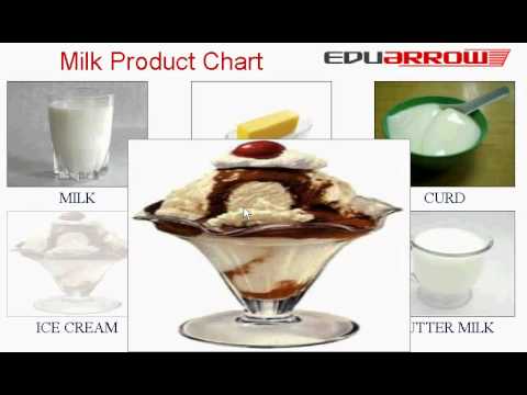 Milk Products Chart