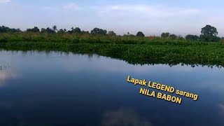 rute dan spot mancing nila mujaer gacor/ neter, lapak 2000 cipondoh tangerang