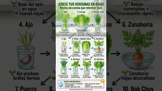 AGRICULTURA ORGÁNICA