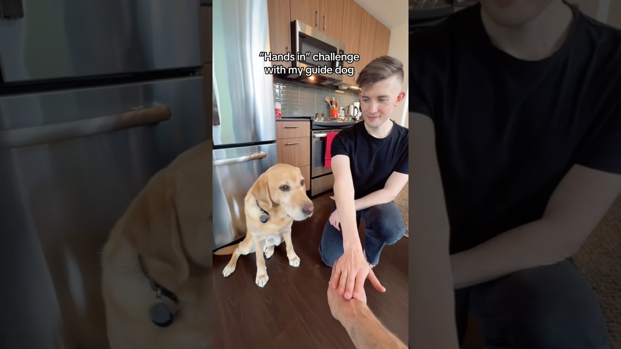 “Hands in” challenge with my guide dog 