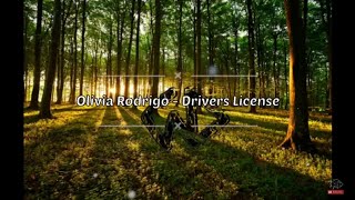 OLIVIA RODRIGO - DRIVERS LICENSE || LYRICS / LIRIK VIDEO