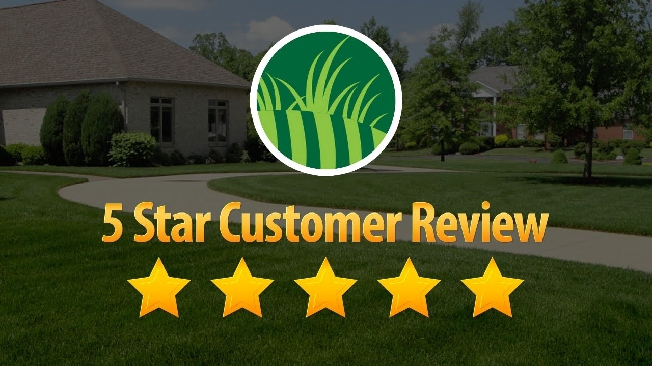 Lawn Care Service Orlando Remarkable 5 Star Review By Tammy A. - YouTube Lawn Care Service Orlando Remarkable 5 Star Review by Tammy A. - Lawn Care Service Orlando Remarkable 5 Star Review By Tammy A. - YouTube