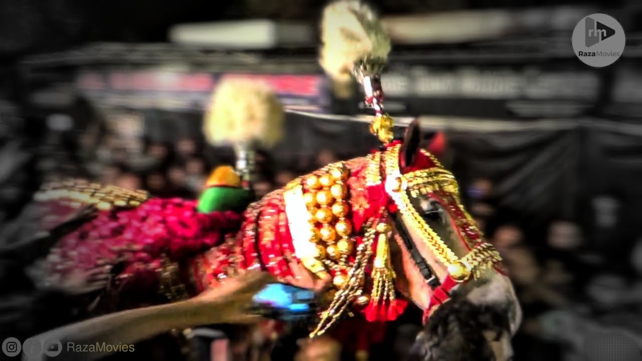 Bramdagi Shabih e Zuljanah | Allama Ali Raza Rizvi | 71-C Model Town | 27 Muharram 2025