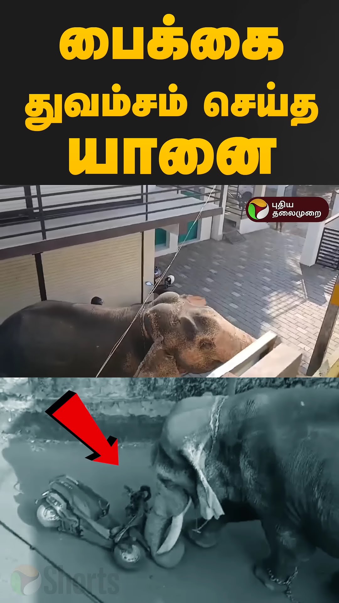 திடீரென மதம் பிடித்த யானை; துவம்சமான பைக்...! மிரட்டும் வீடியோ காட்சிகள்.. | Elephant | Kerala | PTD