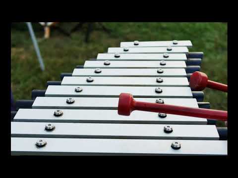 Percussion Instruments The Xylophone Relaxing Music