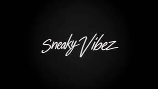 Sneaky Vibez presents - djearflip.blogspot.com stay tuned 4 this upcomin' music on my blog !-.-!