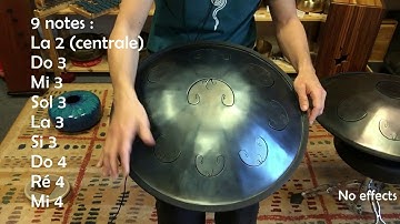 RAV VAST UNIVERSAL SCALE - RUS (H.Q sound)