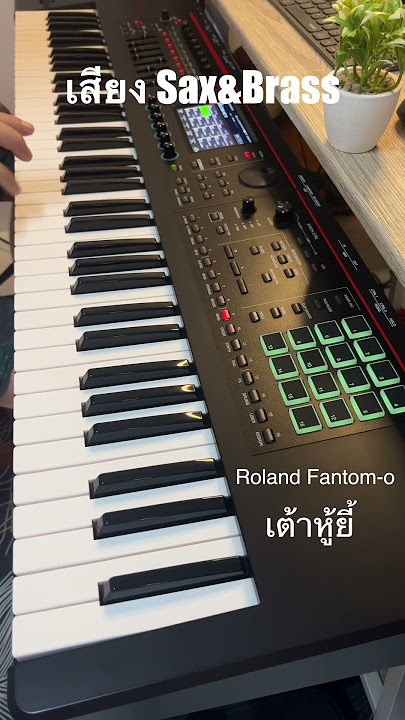 เต้าหู้ยี้ เสียง Sax&Brass #forlife #cover #peforlife #fantom