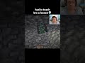 Minecraft Skeleton Moment