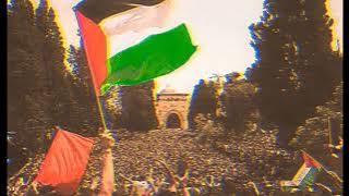 Leve Palestina Mincer's War Remix (Slowed)