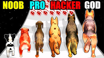 NOOB vs PRO vs HACKER vs GOD Dog Evolution Run