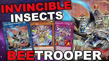 INVINCIBLE INSECTS! BEETROOPER Combo Guide & Profile 2022 Yu-Gi-Oh! Master Duel
