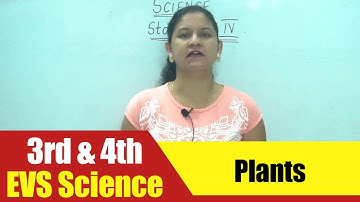 3rd & 4th EVS Science | Plants | CBSE Science Syllabus