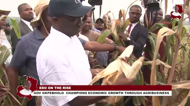 Edo on the Rise: Gov Okpebholo Champions Economic Growth through Agricbusiness