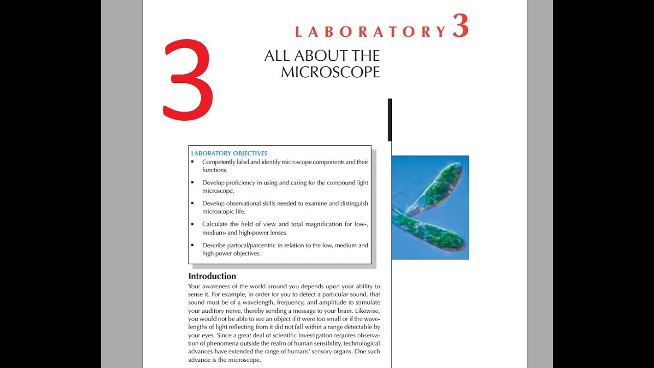 3 Bio 103 LAB 3 The Microscope. Dirty pond water microbial life! - YouTube