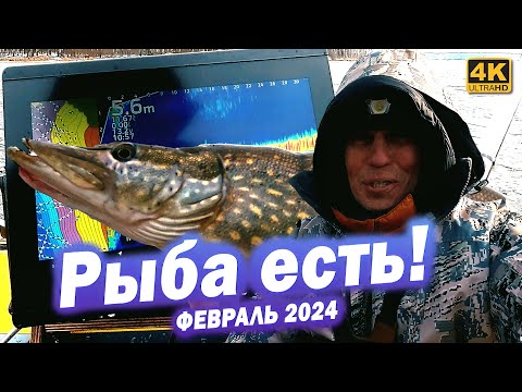 Клв ЩУКИ и СУДАКА в КОНЦЕ ФЕВРАЛЯ 2024 ГОДА