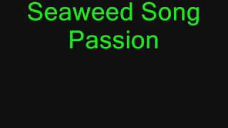 passion pit-seaweed song w/ lyrics