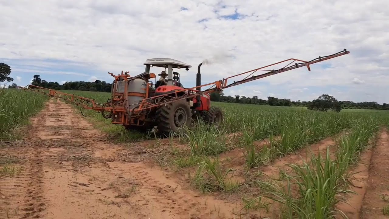 aplicação de herbicida na cana de açúcar de 2.4d para cipó com a barra de herbicida