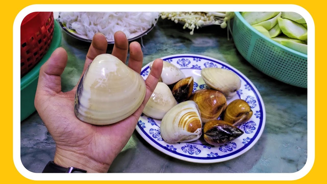 9 Con Nghêu 1Kg | Nghêu Gì Mà To Ghê | Con Nghêu Siêu To Khổng Lồ ...