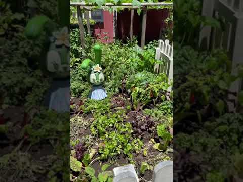 東京ディズニーシー 畑の野菜たち Youtube