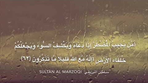 ما تيسر من سورة النمل - القارئ الشيخ سلطان المرزوقي