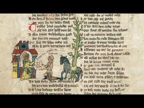 Ritter und Raufbolde - Vom Krieg im Mittelalter