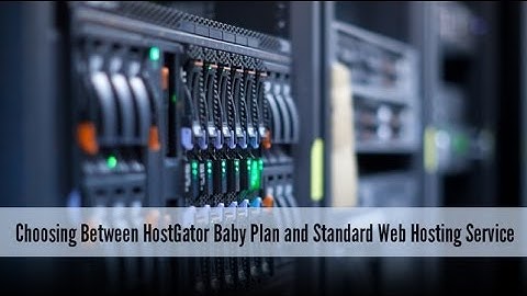 Choosing Between HostGator Baby Plan and Standard Web Hosting Service