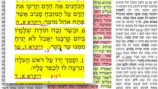 זבחים דף ד 4 שלישי ב׳ אייר תשע״ח - הדף היומי מסכת זבחים