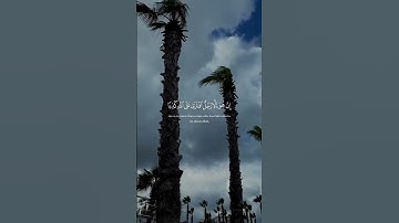 القران الكريم #القرآن_الكريم #اكسبلور #اكسبلور_explore #تيك_توك #الرحمن #المصحف #لايك #explore