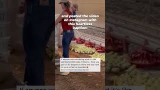Don’t be fooled by the romanticized image of so-called ‘family farms.’ #smallfarm #familyfarm
