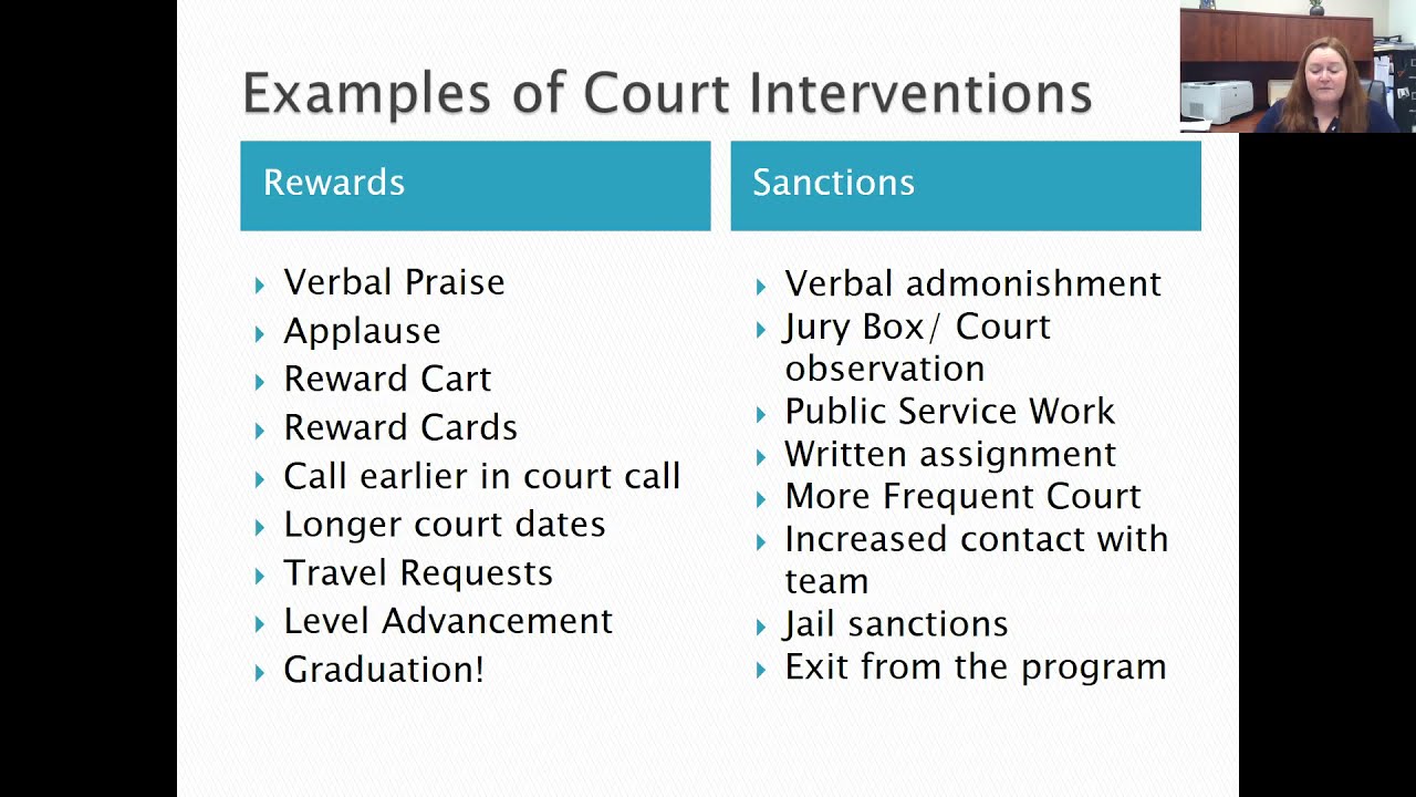 Winnebago County Mental Health Court & Other Problem-Solving Courts - NAMI  Northern Illinois