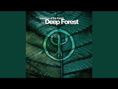 Смотреть «Night Bird» на YouTube