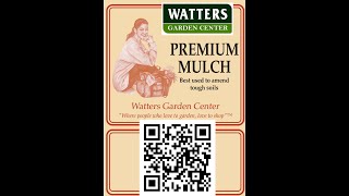 Premium Mulch