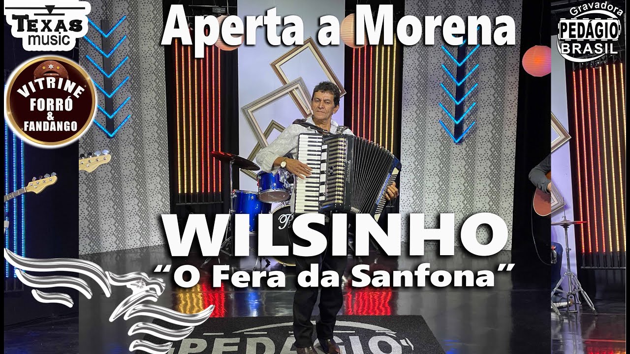 Aperta a Morena - WILSINHO (O Fera da Sanfona)