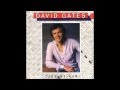 DAVID GATES (BREAD)_Take Me Now_5º ALBUM SOLO