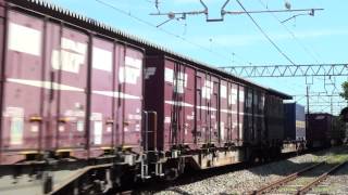 5051レ　EF210 12　　大久保付近　2013年9月