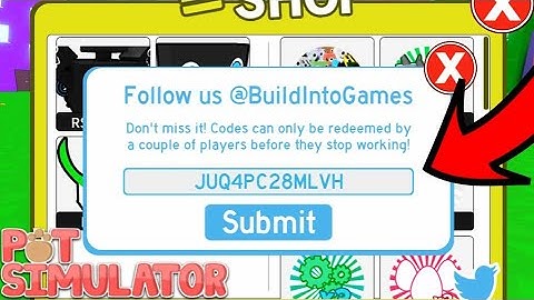 CAN YOU REDEEM A PET SIM X TOY CODE IN PET SIMULATOR 1?!