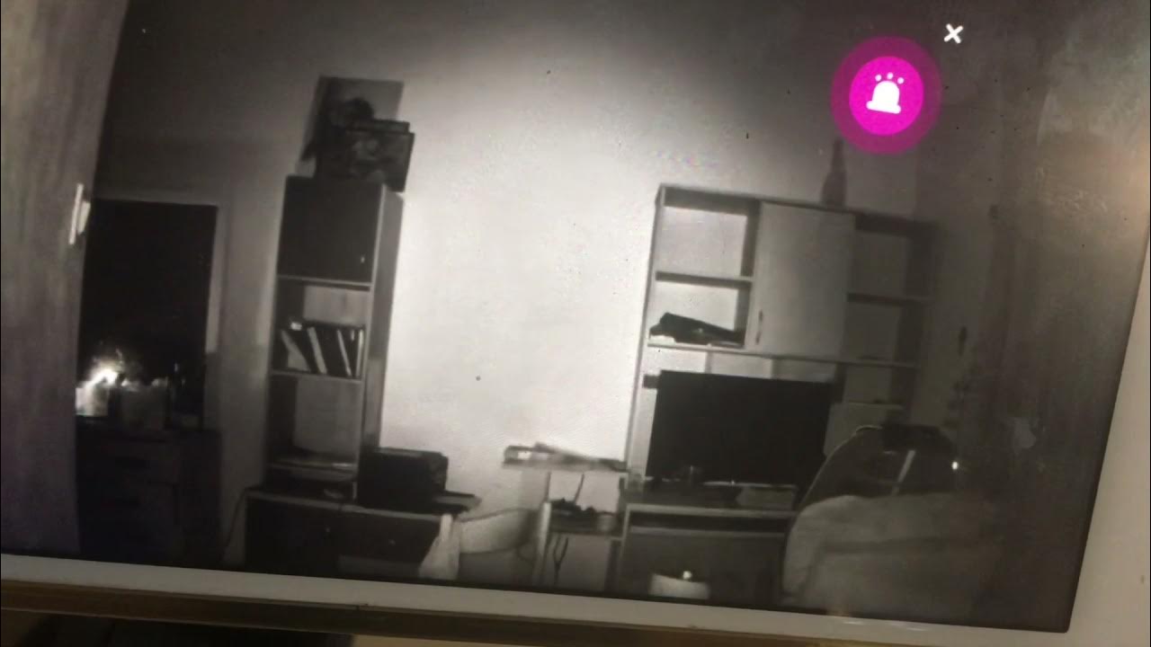 сущности на камерах. съемки инфракрасной камерой днем. засняли камеры видеонаблюдения. существа заснятые на камеру. паранормальное явление токио.