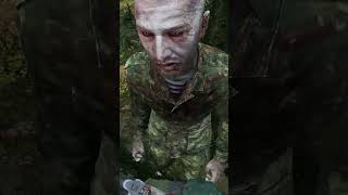 #dayz #dayzgamers #gameplay #dayzgame