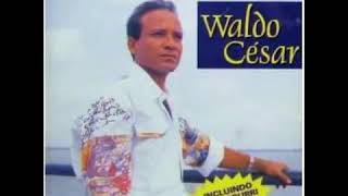 Waldo César =  Sou Feito De Amor