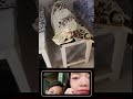 Rekaman kondisi saat jagain kamar mayat