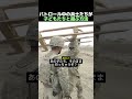パトロール中の兵士たちが子どもたちと遊ぶ方法