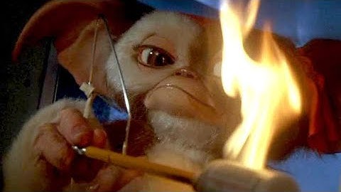 Gizmo Is Broken!? - Top 400 Gizmo